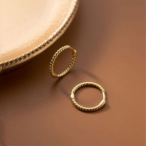 Round Twist Hoop Earrings