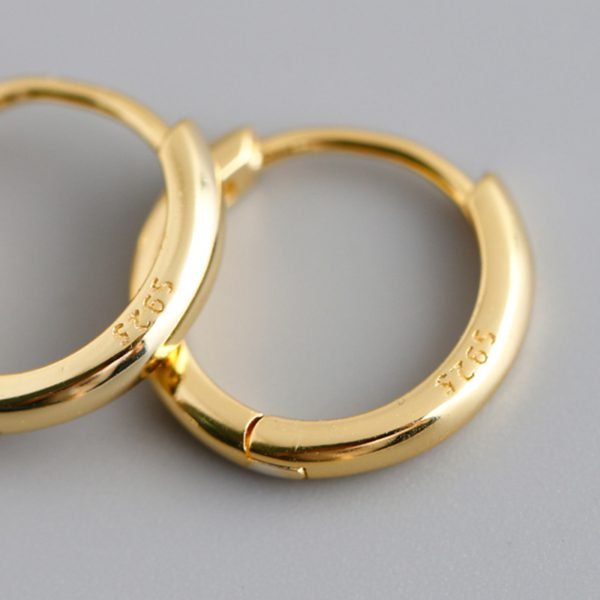 Vue alternative de Simple Hoop Earrings