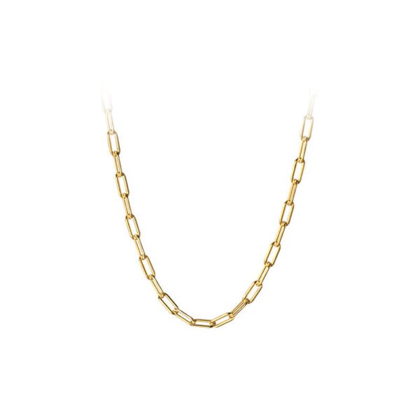 Chain-Link Necklace