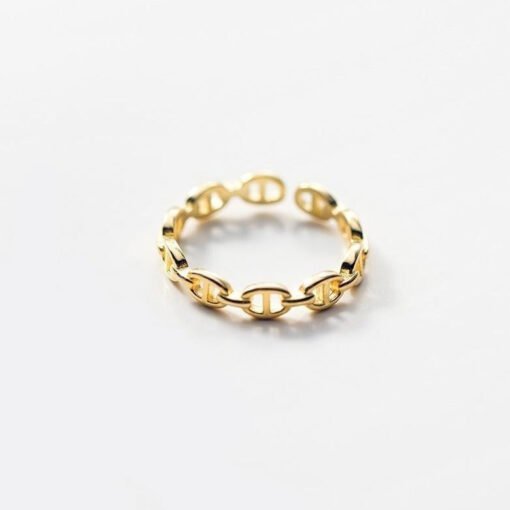 Simple Chain Ring