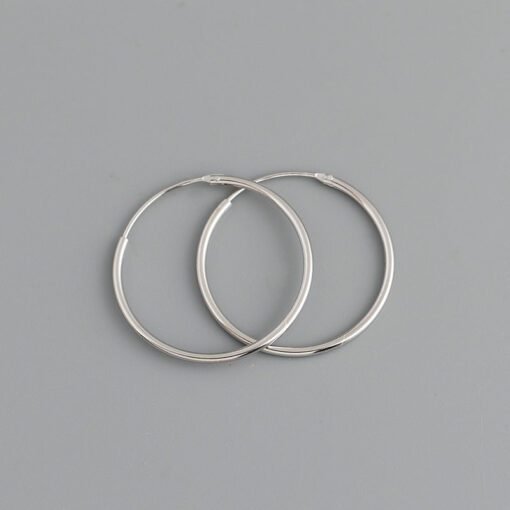 Korean Simple Hoop Earrings