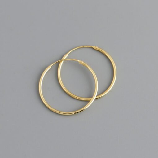 Korean Simple Hoop Earrings