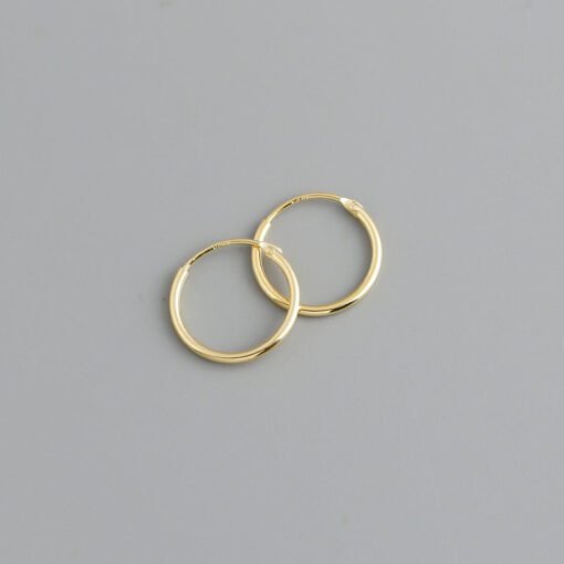 Korean Simple Hoop Earrings