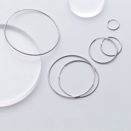 Circle Hoop Earrings - Image 2