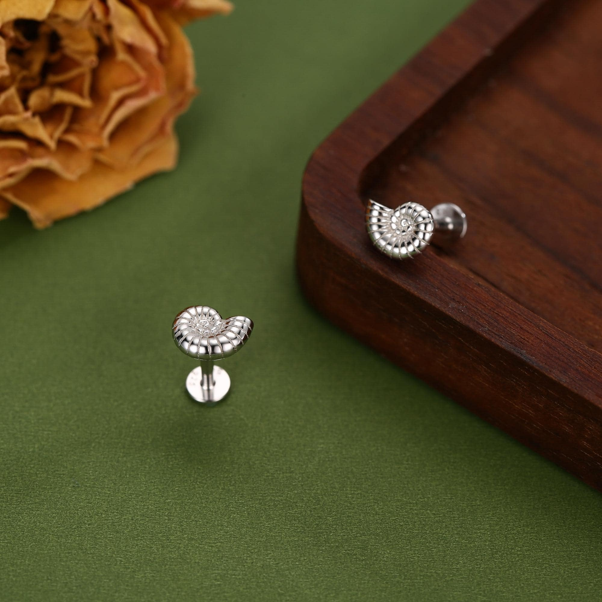 Alternative view of Sterling Silver Ammonite 16G Flat Back Labret Earrings